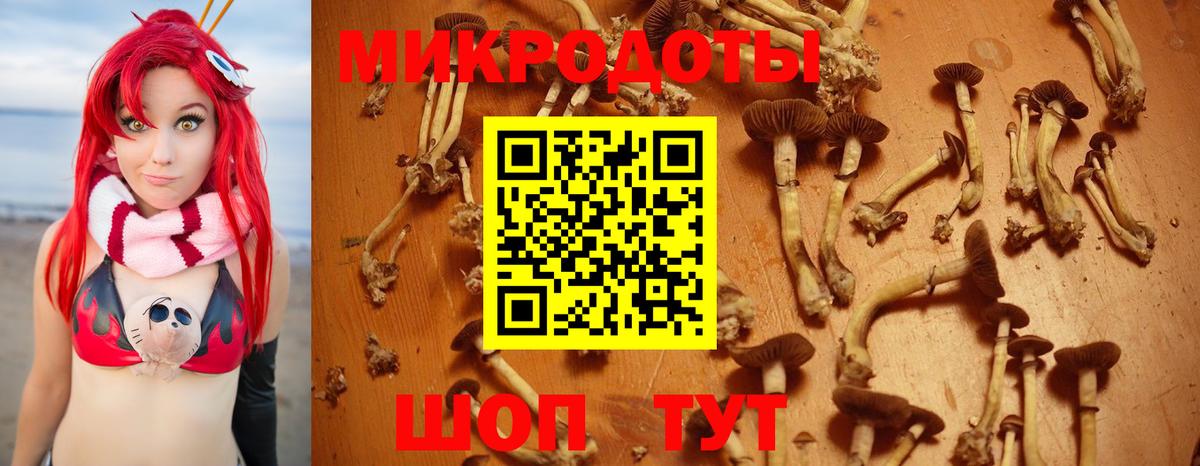 Псилоцибиновые грибы GOLDEN TEACHER  Галлюциногенные грибы Cubensis  Кудрово  Вход с VPN 